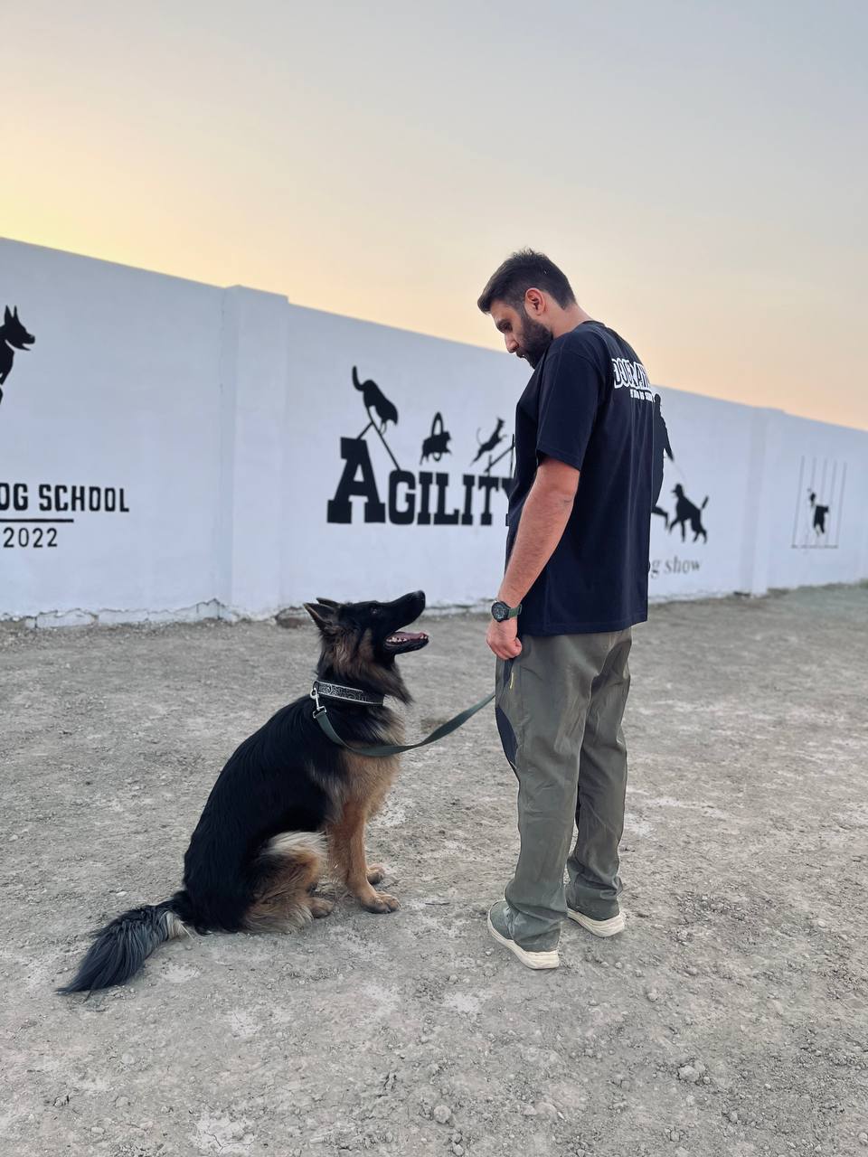 آموزش سگ، تربیت حرفهای و خدمات پت